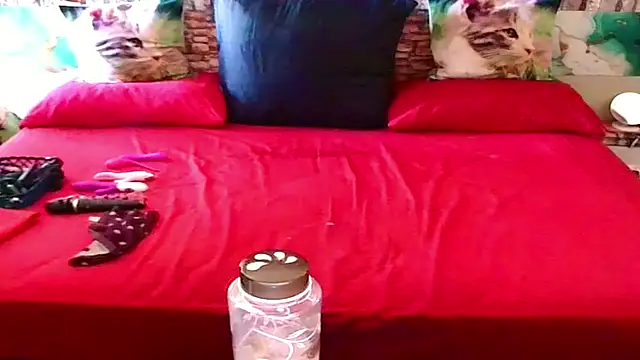 Indian_Blaze00 webcam