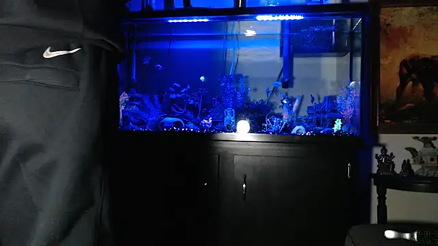 espanolvato (Ask my age) - Make it Bust !!