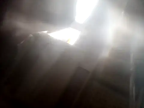 weejocknicecock5 webcam