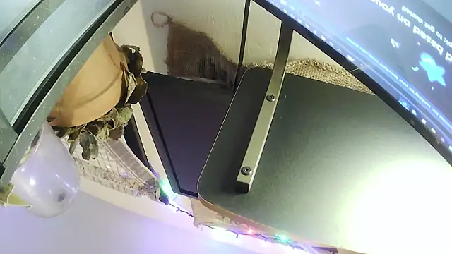 hungspundick1 webcam