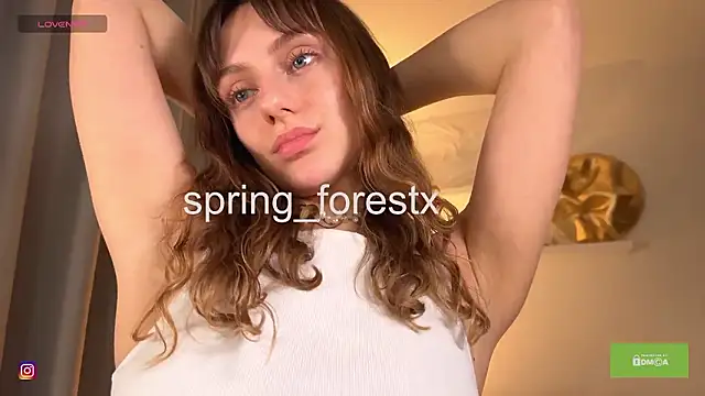 spring_forest webcam