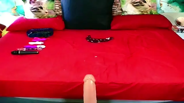 Indian_Blaze00 webcam