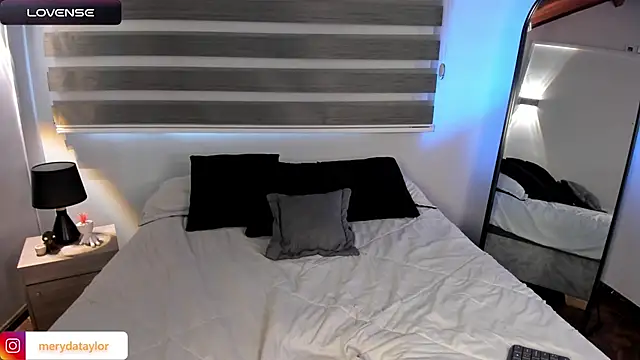 MERIDA_TAYLOR webcam