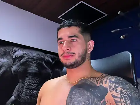 king_falconer webcam