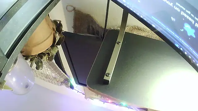 hungspundick1 webcam