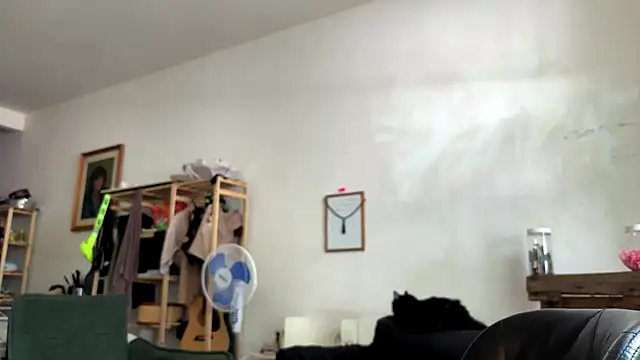 gerson173Hugo webcam