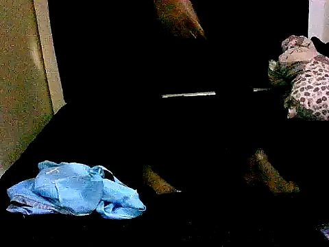 honeypotsweet webcam