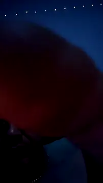 bigdickdaddy12691 webcam