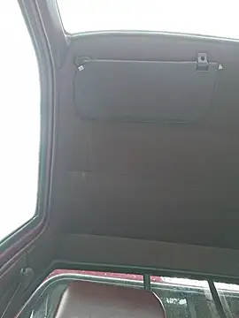 Hotbodyscottie webcam