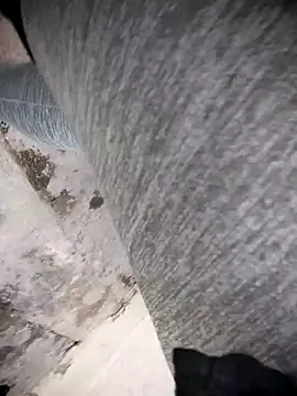 Brenda_Berck_ webcam