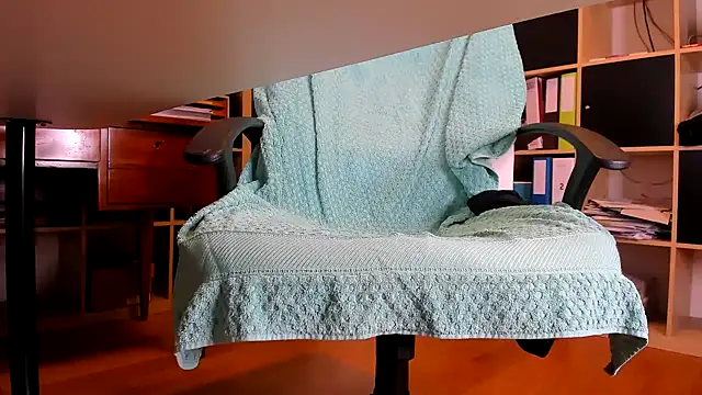 leccaleccafiga webcam