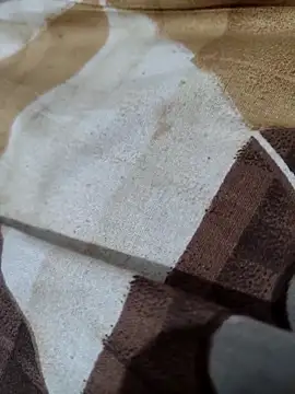 TwinklyBasket897 webcam