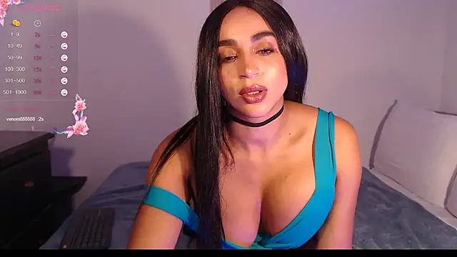 destinne_mill_ webcam