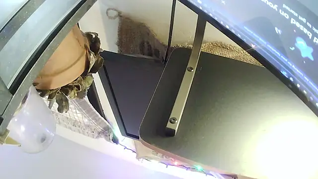 hungspundick1 webcam