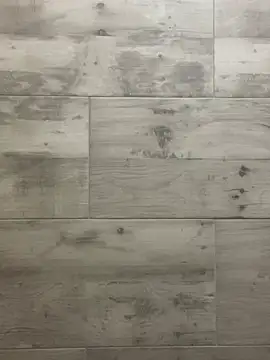 Evelinmiller97 webcam