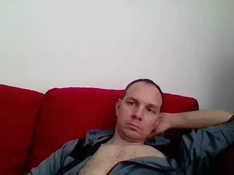 civik webcam
