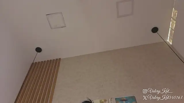 Valerykat_ webcam