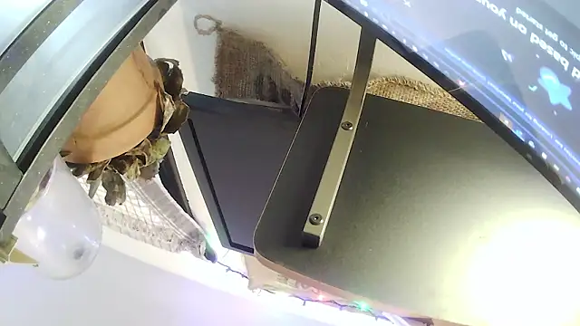 hungspundick1 webcam