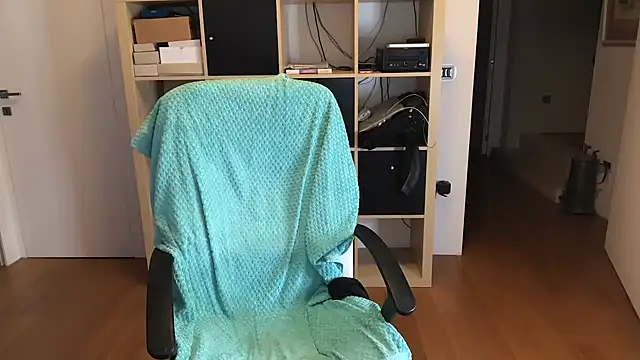 leccaleccafiga webcam