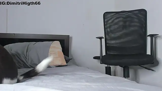 Dimitri_higth420 webcam