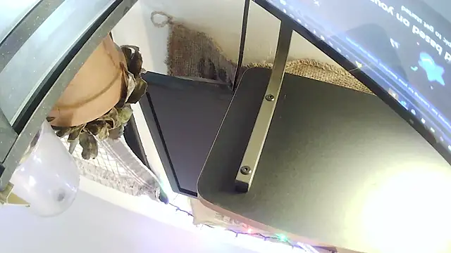 hungspundick1 webcam