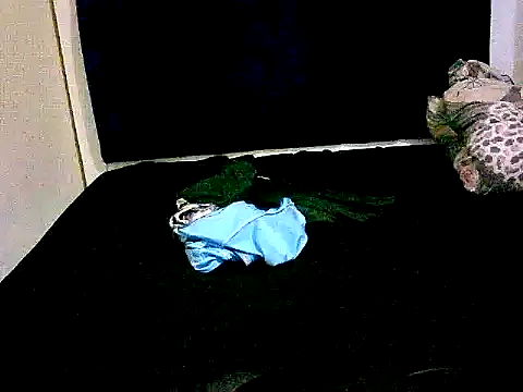 honeypotsweet webcam