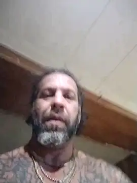 AceticPinscher webcam