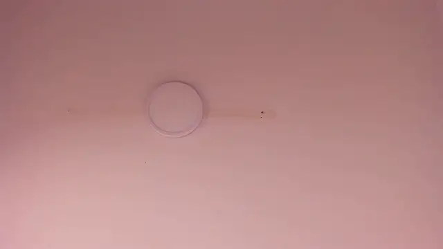 Lizeth_Salazar webcam