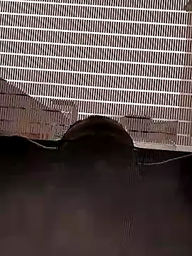 DOBLEWYOSK69G webcam