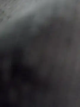 Preview of loboalfa2030