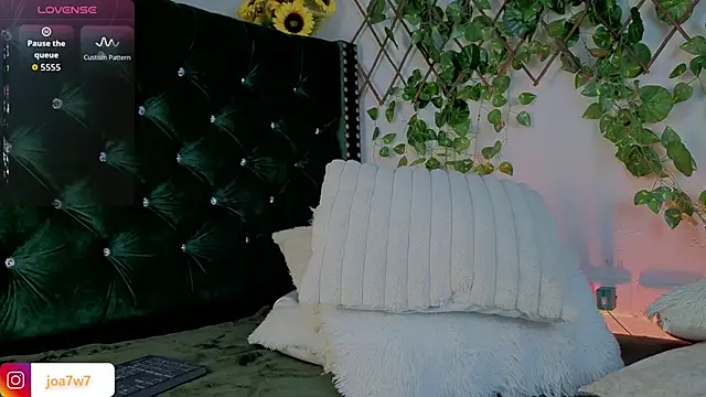 Levii_Ackermann webcam