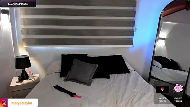 MERIDA_TAYLOR webcam