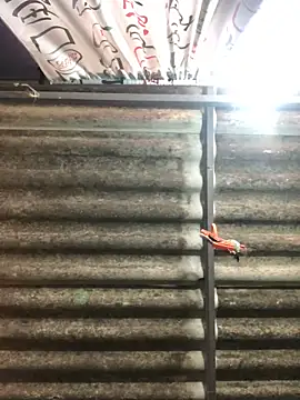 fran777775 (M twink) - Cum💦💦💦