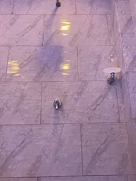 Willow_Wright webcam