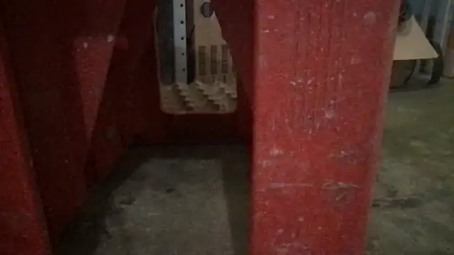 RODRI_POLLADURA webcam