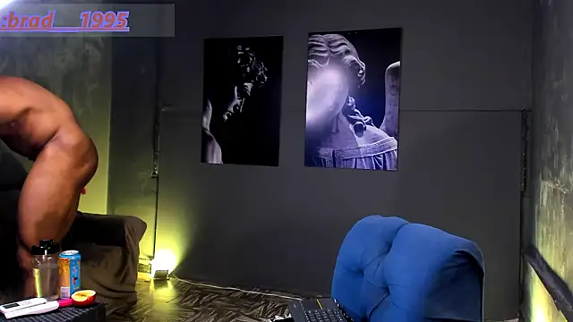 bradley_smith webcam