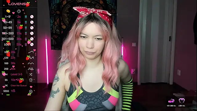 Project_hisoka webcam