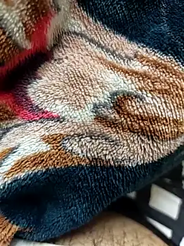 Delhicallboy69 webcam