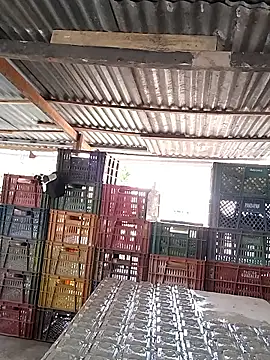 hoteder - Hoteder's free webcam