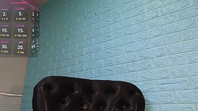 SALOME_KORLAND webcam