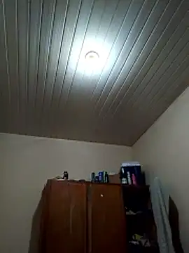 NumeralChevre webcam