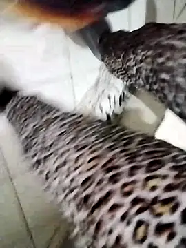 nayakaa7 (F young) - 20