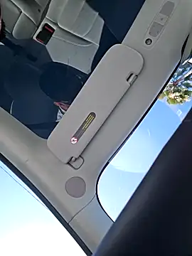 roddog18 (Ask my age) - Cum in the car