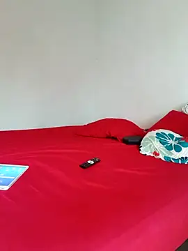 LEIRIS_Y_FRED_01 webcam