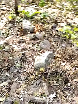 desi_alpha_boy (M young) - Out door Big cum