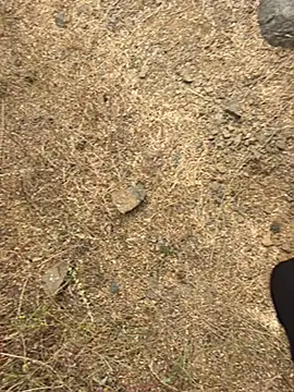 goodboytelugu (Ask my age) - 50