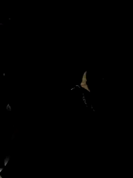 Preview of roberts8inchcock