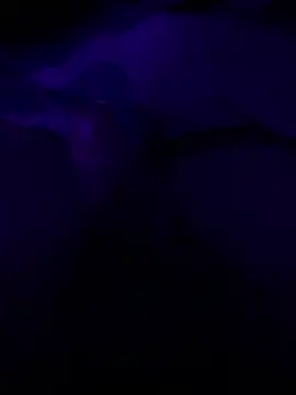 GeilerHSVFAN1989 webcam