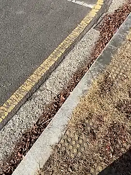 dvoi – webcam model profile photo