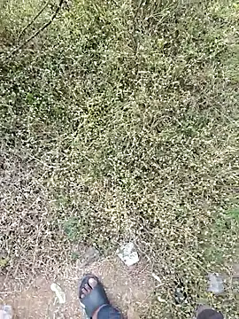 rameshmry1 - Rameshmry1's free webcam - UK Sex Cams